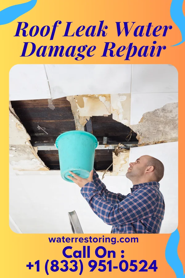 Roof Leak Water Damage Repair in Hernando, MS
