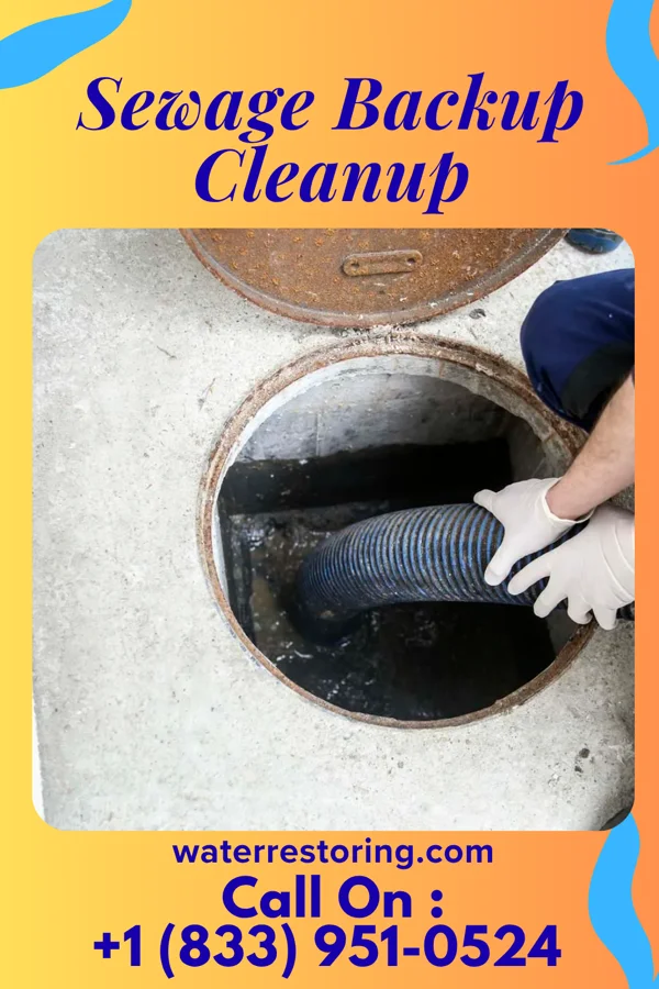 Sewage Backup Cleanup in Hernando, MS