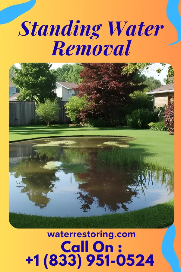 Standing Water Removal in Hernando, MS